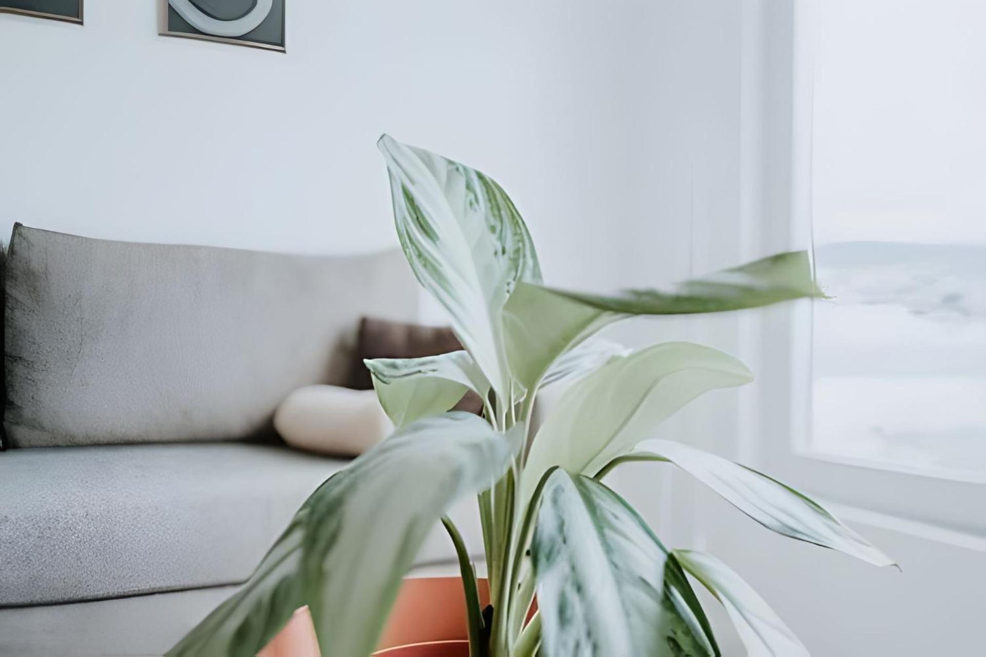 Aunaisin - Apartamento Con Excelentes Vistas อูซัวยา ภายนอก รูปภาพ
